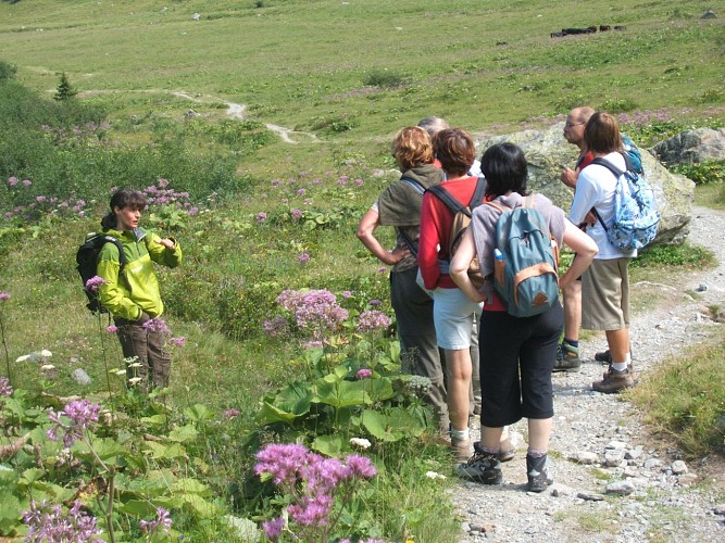 Compagnie des Guides de Saint-Gervais / Les Contamines