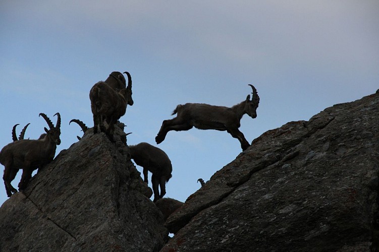 Beaufortain Wandelen