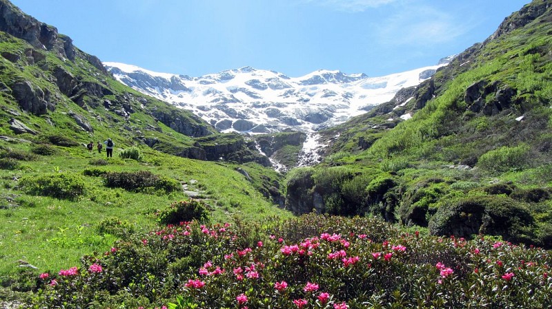 ADMontagnes - Schneeschuhe des Yeti