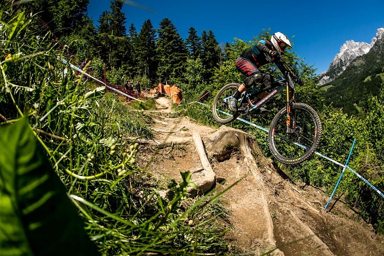 Xtreme Glisses : Location VTT de Descente (DH)