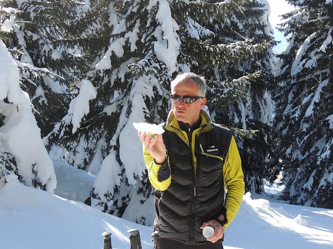 Alpi' Rando