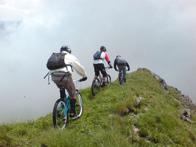 Alpi' Rando