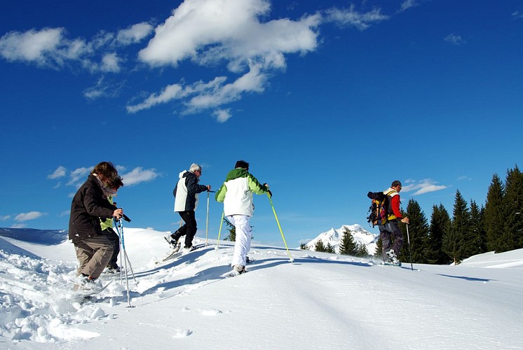 Alpi' Rando