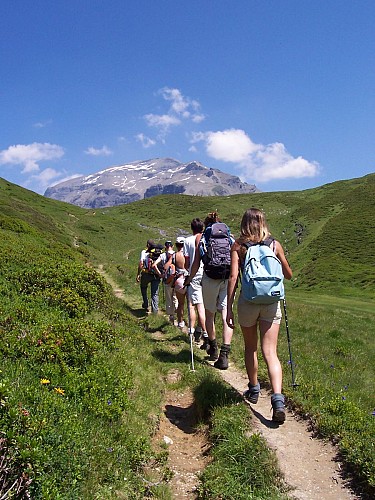 Alpi' Rando