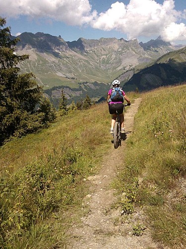 APIRANDO - Accompagnateurs en montagne