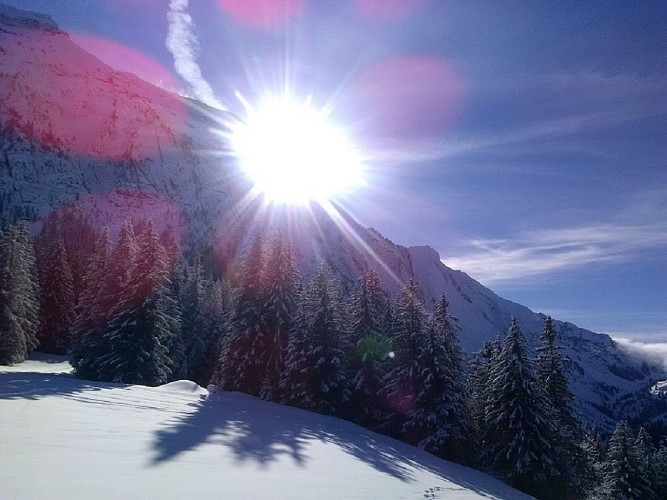 APIRANDO - Accompagnateurs en montagne