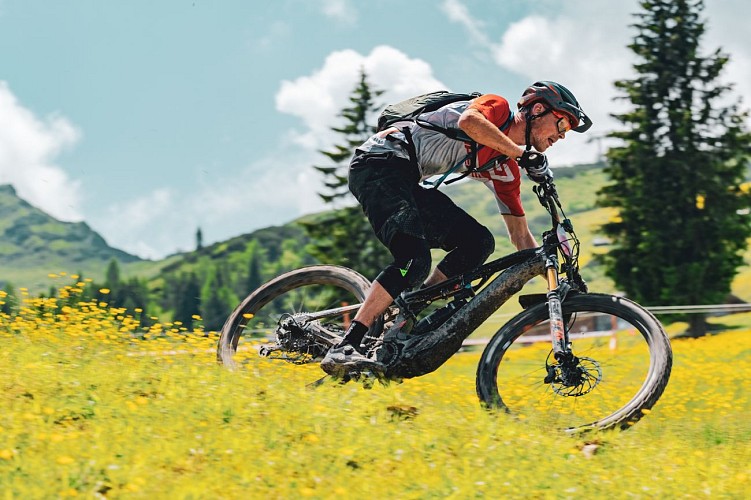 AvélO