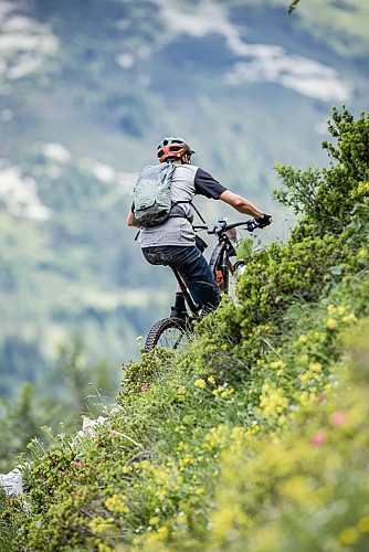 AvélO