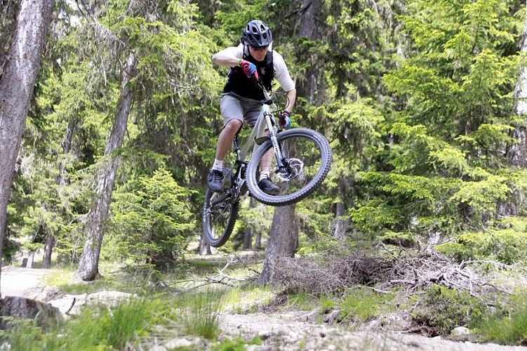 AvélO