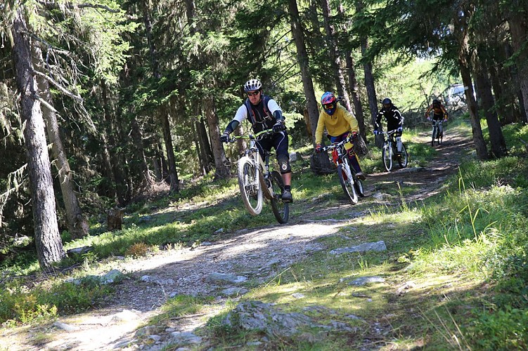 AvélO