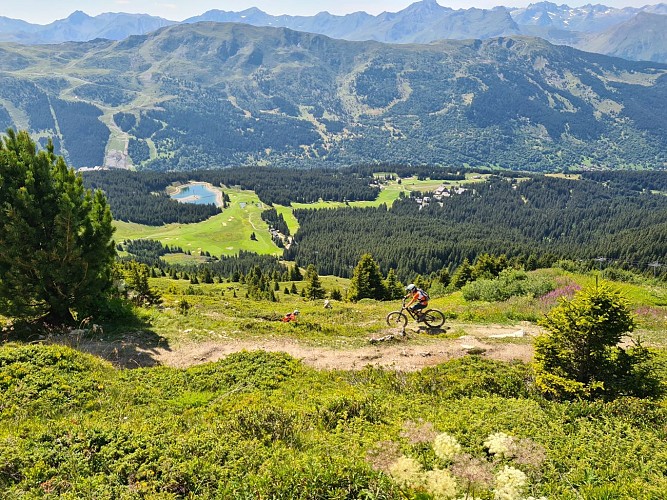 Ecole VTT La Trace Verte