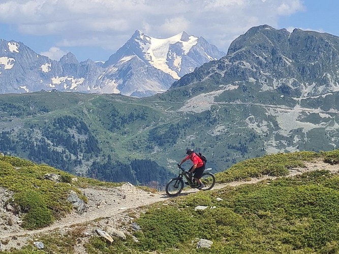 Ecole VTT La Trace Verte