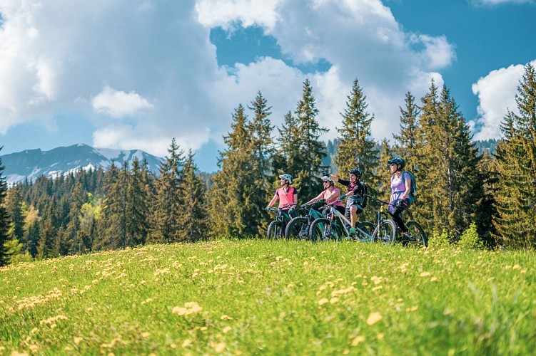 Alpes Aventures : Fietsenwinkel, werkplaats en verhuur