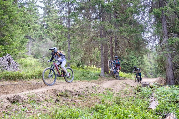 Les Saisies Bike Park