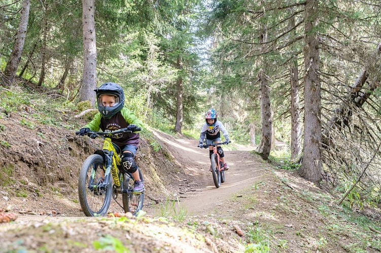 Les Saisies Bike Park