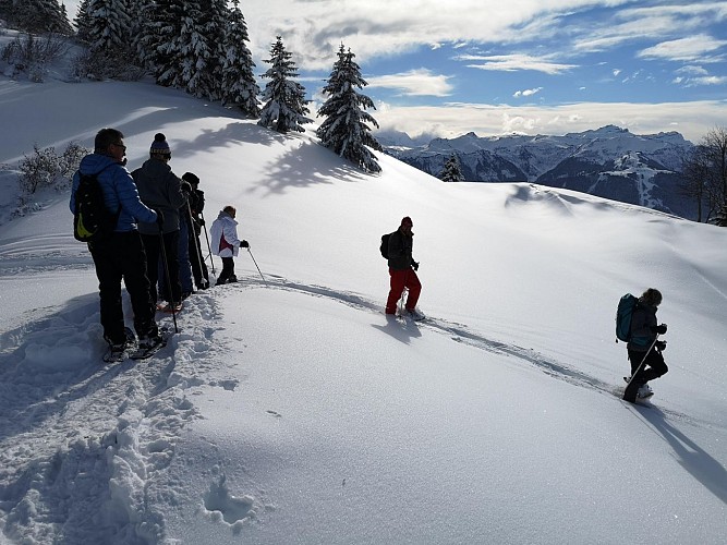 Ambiance Montagne - Fred Derouet