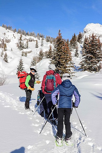 Ambiance Montagne - Fred Derouet