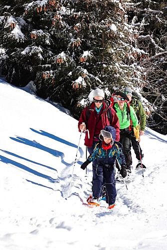 Ambiance Montagne - Fred Derouet