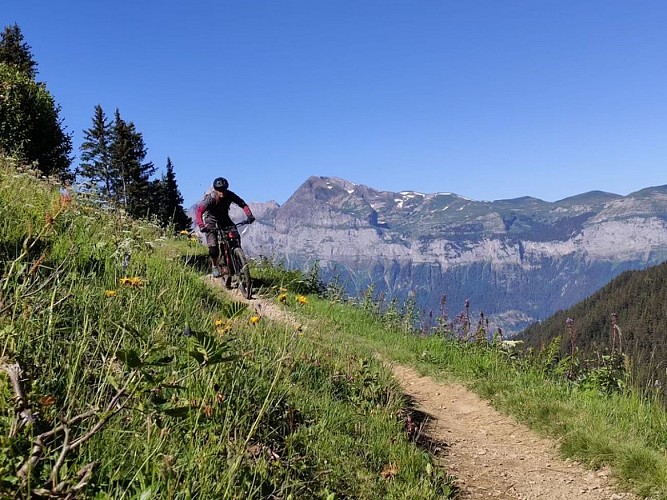Mountain bike rental / Jaime Sport
