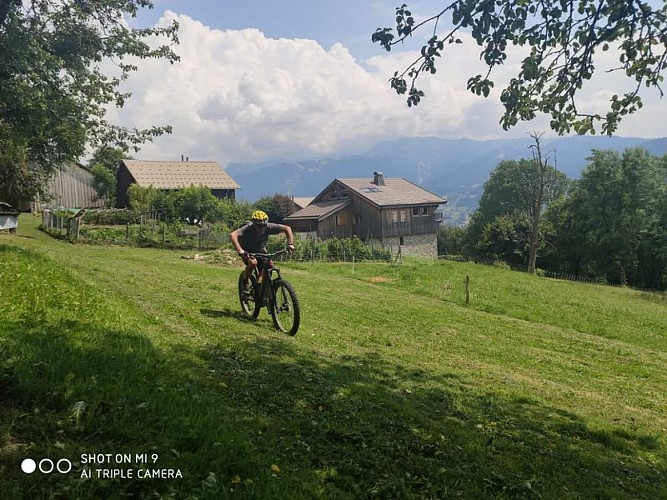 Mountain bike rental / Jaime Sport