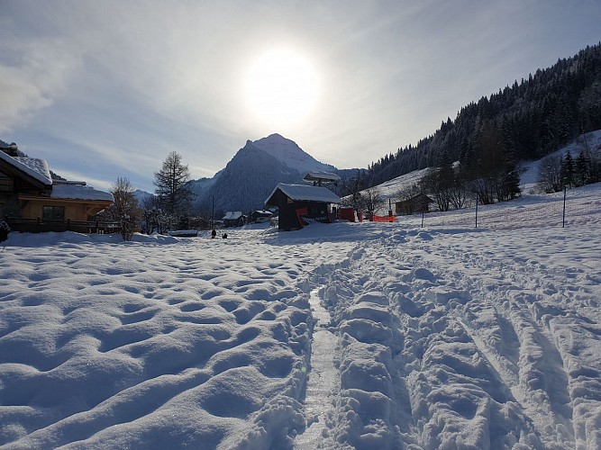 Action Sport - Ski rider