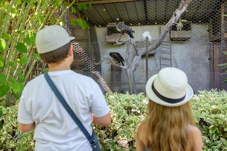 La ferme aux oiseaux