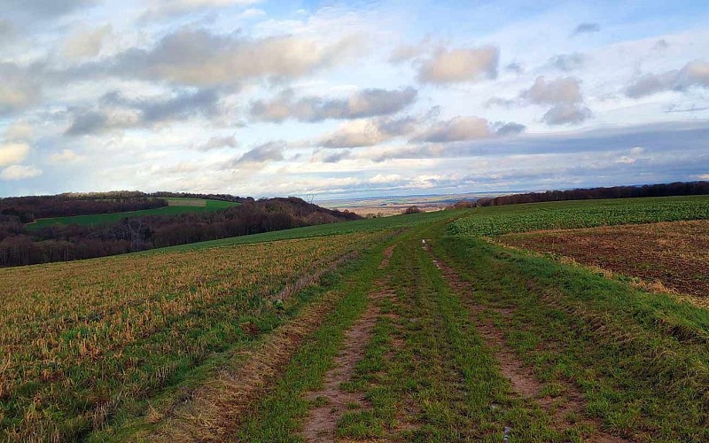 Parcours marche Randonnée Saint Julien Côtes de Meuse Saintjuliensouslescotes Parcours marche Randonnée Saint Julien Côtes de Meuse Saintjuliensouslescotes