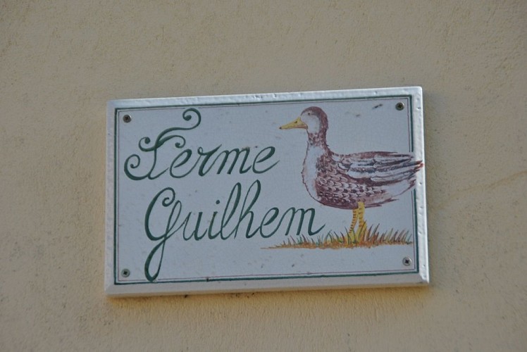 Ferme-Guilhem-Doazit-4