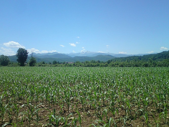 Ferme Bergeras - Vue (Florence Bergeras)