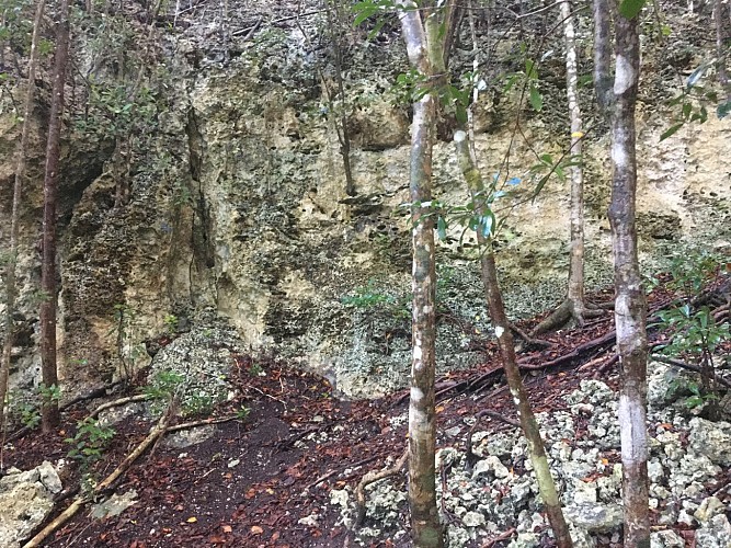 Trace des Pécheurs