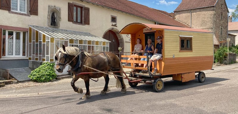 en route avec Shamane