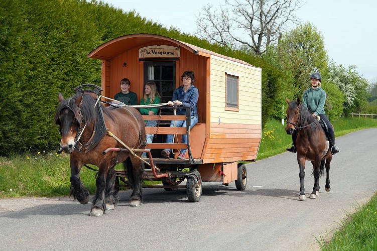 roulotte accompagnée d'un cheval de selle