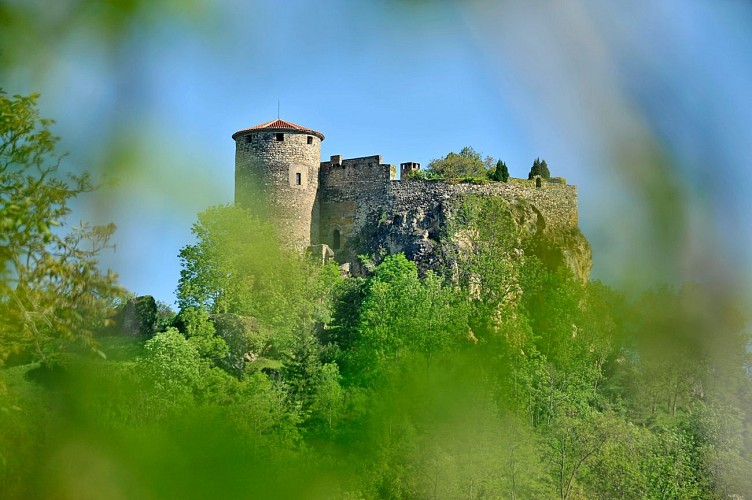 Castle of Busseol
