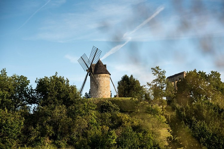 © Alain Auzanneau IMG_8676 Redimension