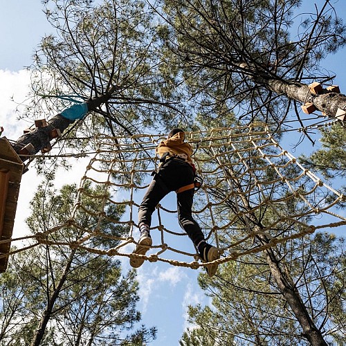 CBEA2CF4-FB43-471C-8342-BB6F173DFC53