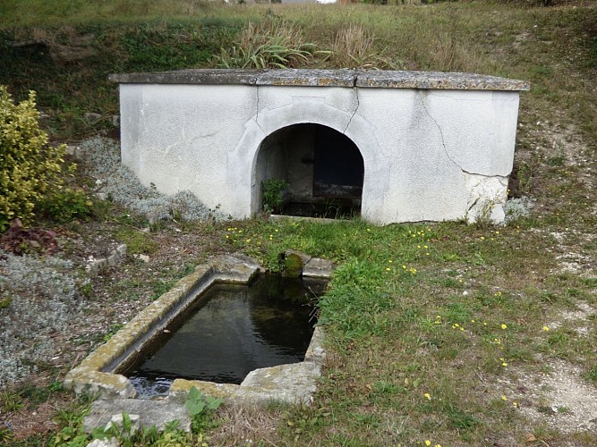 La fontaine aux crapauds