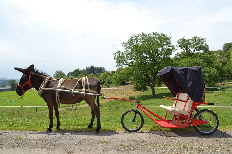 Wandelpad - Les Châtaigniers
