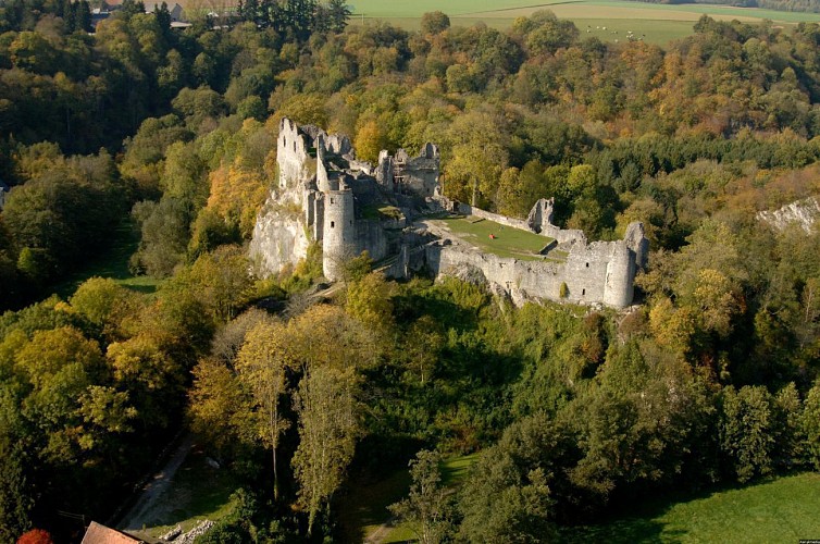 The ruins of the fortified castle of Montaigle 