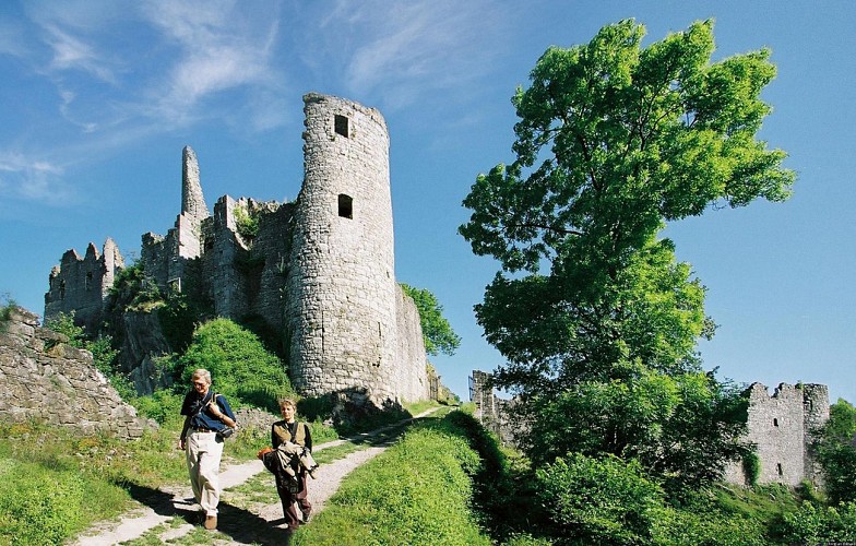 The ruins of the fortified castle of Montaigle 