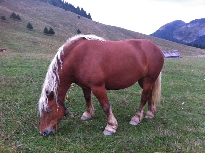 Gîte de montagne de Trè-le-Saix