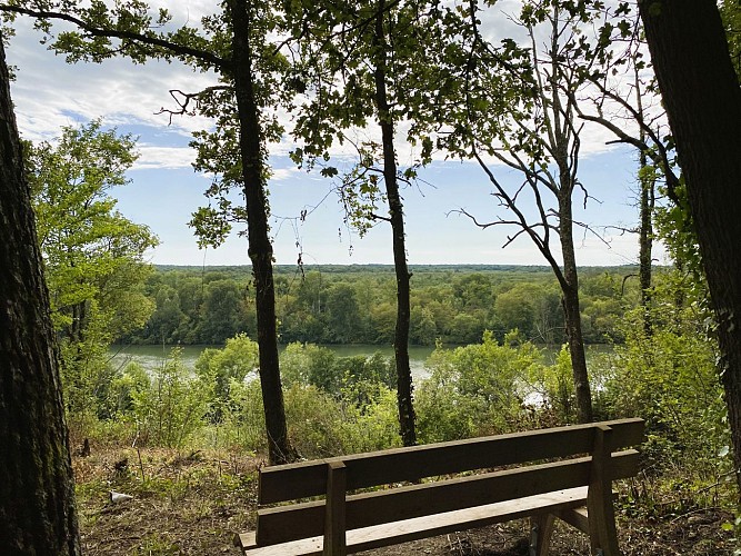 Forêt domaniale de Barbeau