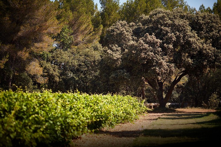 Domaine Fontaine du Clos