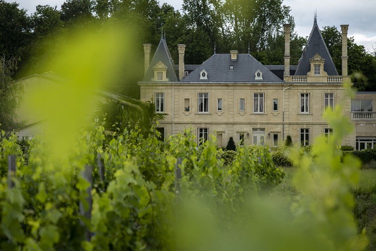 CHATEAU DEPUIS VIGNOBLE - Réception Château Meyre