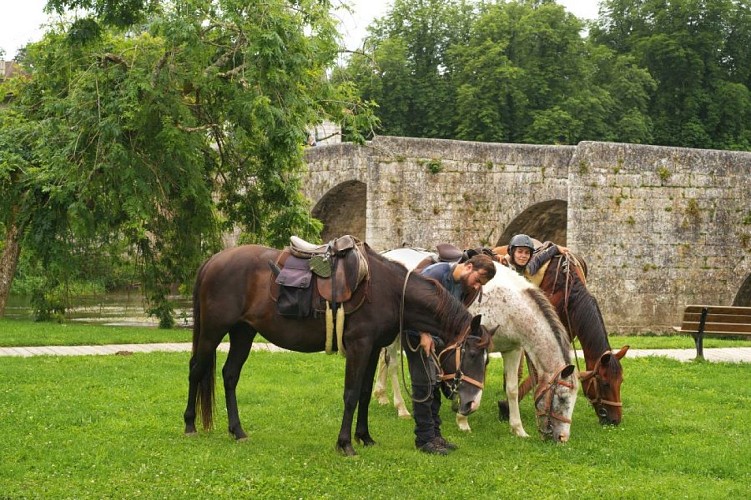 cheval nomad