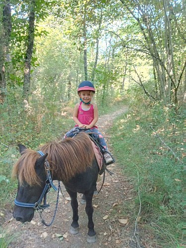 cheval nomad 
