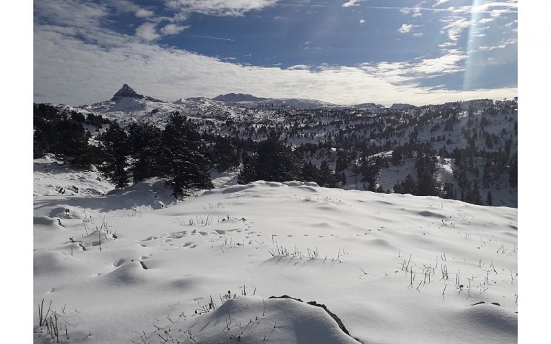L'iza-R - Accompagnateur en Montagne - saison hiver - raquettes 02