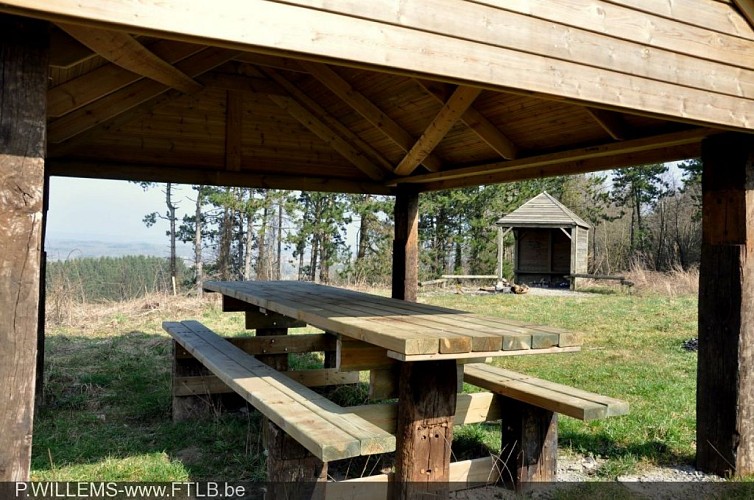 Resting and picnic area with barbecue -