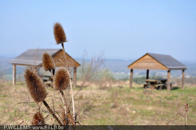 Resting and picnic area with barbecue -