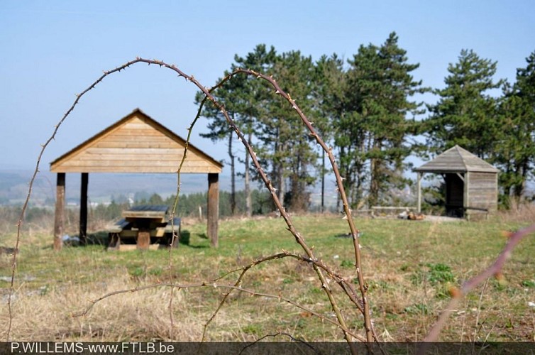 Resting and picnic area with barbecue -