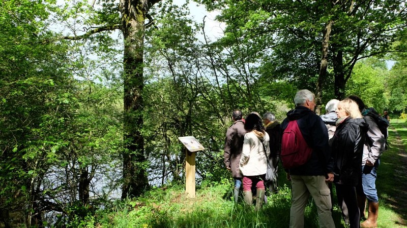 Ecobalade du vieux bocage du Perche